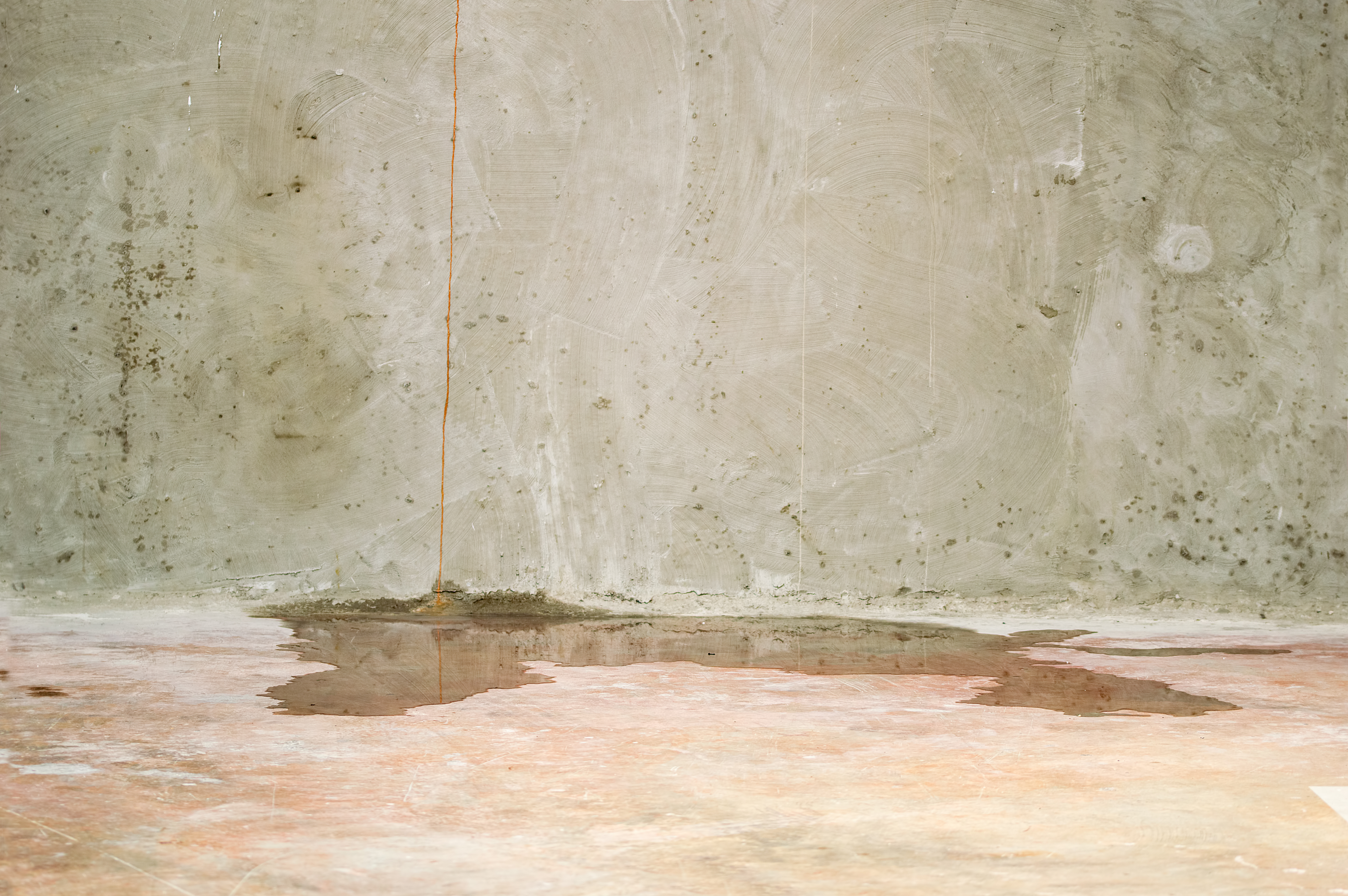 Water-sensing rope run along a basement foundation wall